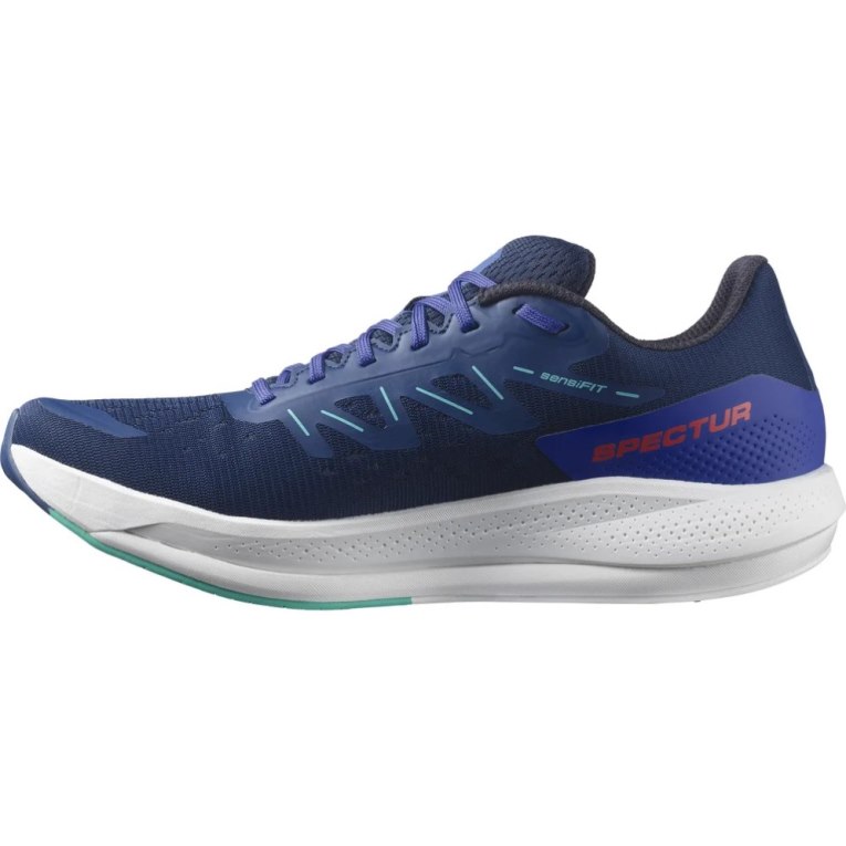 Blue Salomon Spectur Men's Running Shoes | PH 72536J